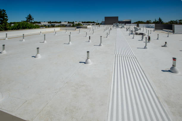 Best Cold Roofs  in North Auburn, CA